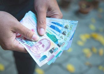 ვის ეკუთვნის 1 000-ლარიანი სახელმწიფო კომპენსაცია – ნახეთ, მიღების წესი