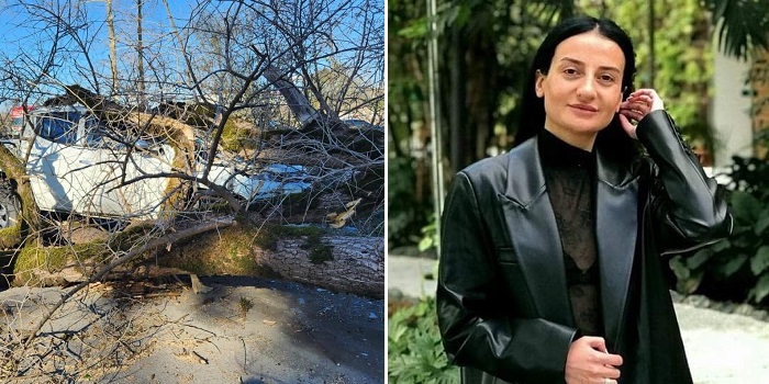 “გოგონას უშველებელი ხე დაეცა და…” – ამ წუთებში უმძიმესი რამ მოხდა