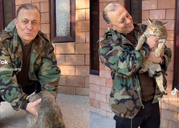 ნათელაშვილი საკუთარი კატის დიეტას გვიზიარებს – პოლიტიკოსის ტიკ-ტოკი ნახვების რეკორდს ხსნის