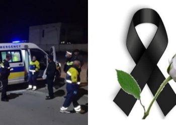 შვილს დანაშაული რომ დაეფარა წარმოუდგენელი რამ გააკეთა… – სავარაუდოდ ცნობილია სინამდვილეში რის გამო მოკლა შვილმა დედა ნაჯახით