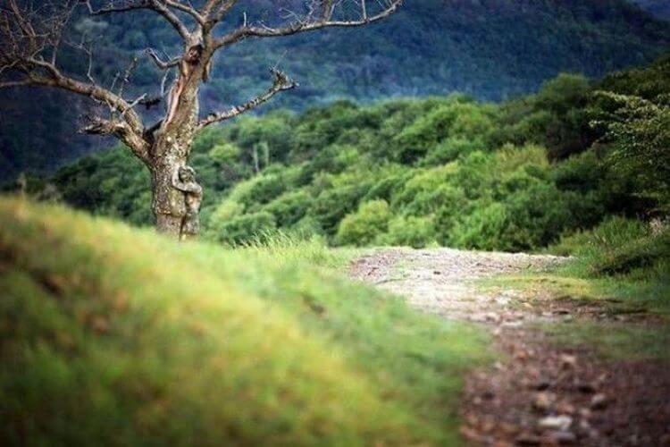 თუ ამ ფოტოზე 2 ქალს იპოვით 5 წამში, იცოდეთ, რომ თქვენი IQ საშუალოზე მაღალია