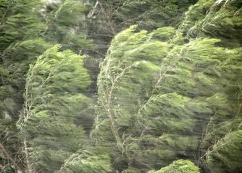 ამინდი ისევ შეიცვლება… – როდემდე გაგრძელდება თბილი და უნალექო ამინდები საქართველოში