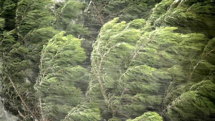 ამინდი ისევ შეიცვლება… – როდემდე გაგრძელდება თბილი და უნალექო ამინდები საქართველოში