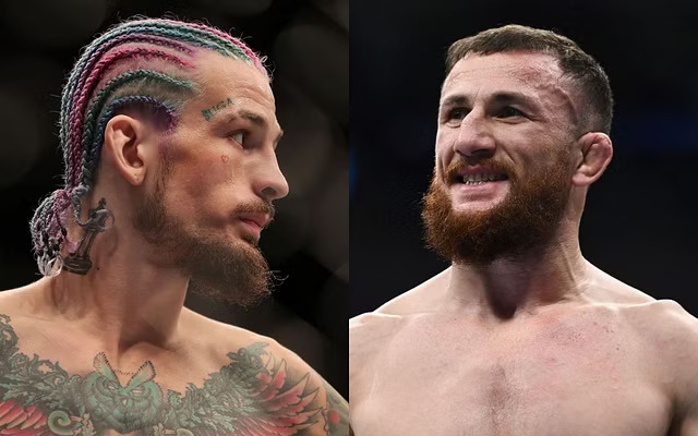 “მისი სახის 85% ცხვირს უკავია, იმხელა ცხვირი აქვს უნდა ვეცადო რომ მას ავაცილო და ჭრილობას მოვარტყა. დარწმუნებული ვარ მის ყბას ვიპოვი და ძლიერად მოვარტყავ, დანა უაითს ვეთანხმები რომ მერაბი სულელია” – შონ ომალის სჯერა რომ დვალიშვილს დაანოკაუტებს