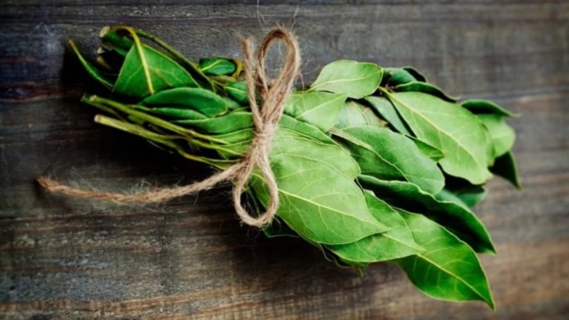 ეჭვობთ, რომ ვიღაცამ „გაგთვალათ“, ან ჯადო გაგიკეთათ? – მაშინ, ეს უნდა წაიკითხოთ