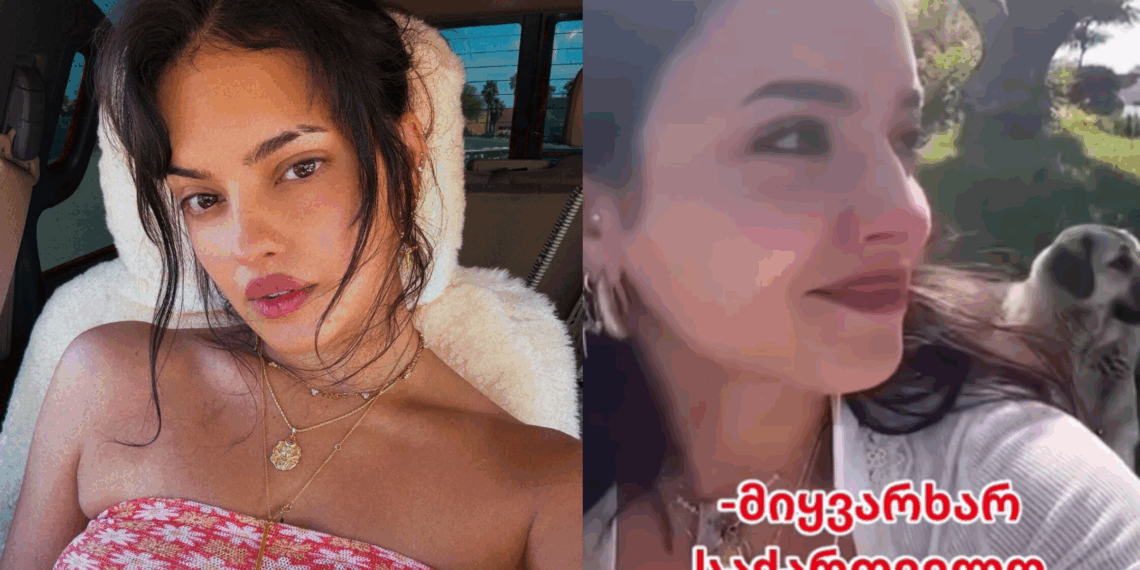 “როგორც მექცევიან ქართველები ეს საოცარია” – ბედნიერებისგან ატირებული ნინა დრამა ემოციურ ვიდეოს აქვეყნებს და ქართველებს მადლობას უხდის