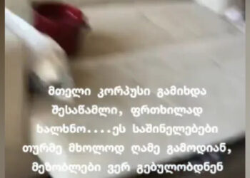 “ფრთხილად ხალხნო! ეს საშინელებები თურმე მხოლოდ ღამე გამოდიან… შიშით ვიღებდი ვიდეოს” – რა კადრები ვრცელდება სოციალურ ქსელში?