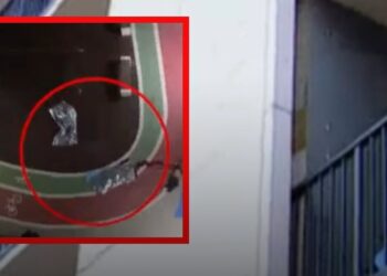 “ამან დამაეჭვა… არანორმალური სისწრაფით ჩავედი ეზოში, მივედი ცხედრებთან, მამაკაცი სასწრაფოს მოსვლამდე ცოცხალი იყო” – რას ჰყვება მეზობელი, რომელიც ისანში, ტრაგედიის ადგილზე ერთ-ერთი პირველი მივიდა?