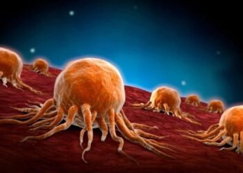 ექიმებმა დაასახელეს 7 პროდუქტი, რომლებიც კიბოს უჯრედებს აქრობს