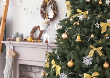 რომელ რიცხვებში უნდა დავდგათ ნაძვის ხე 2026 წელს – ნუმეროლოგის რეკომენდაცია