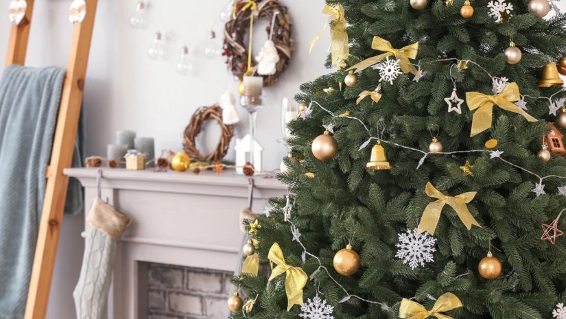 რომელ რიცხვებში უნდა დავდგათ ნაძვის ხე 2026 წელს – ნუმეროლოგის რეკომენდაცია