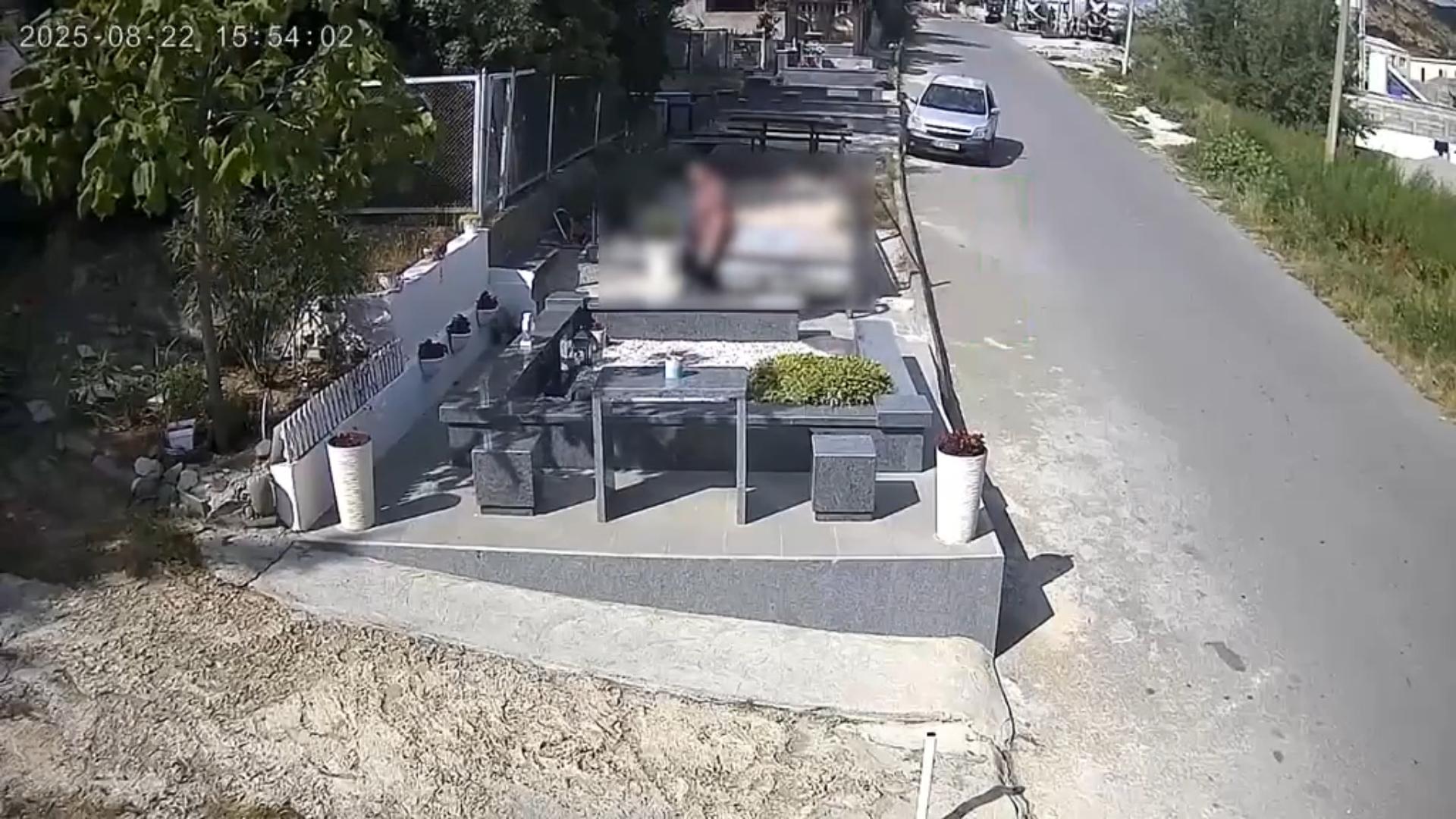 ვრცელდება სათვალთვალო კამერის ჩანაწერი – რა დააფიქსირა კამერამ ახალგაზრდა ბიჭის საფლავზე?