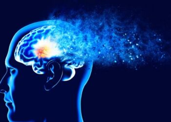 გამოვლინდა ასაკი, რომლის შემდეგაც იწყება ტვინის დაბერება