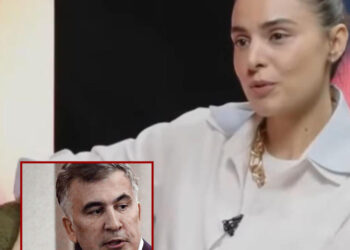 რა უპასუხა სოფო ნიჟარაძემ ჟურნალისტის კითხვას, თუ რა სტატუსი აქვს მიხეილ სააკაშვილს მისთვის?