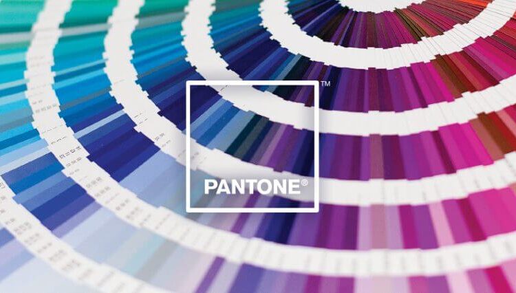 Pantone-მა 2026 წლის ფერი დაასახელა