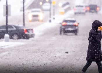 საგანგაშო ინფორმაცია ამერიკაში მცხოვრები ქართველებისთვის