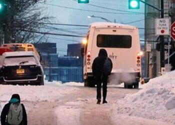 საგანგაშო ინფორმაცია ამერიკაში მცხოვრები ქართველებისთვის