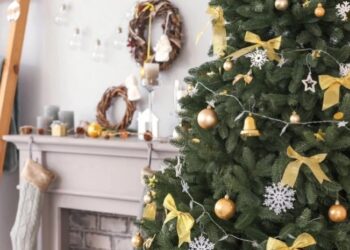 როდის უნდა ავიღოთ ნაძვის ხე – ნათლისღებამდე თუ შემდეგ