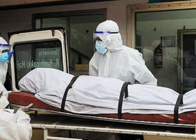 ცნობილია, რა სიმპტომები ჰქონდა ქალს, რომელიც ნიპას ვირუსით გარდაიცვალა