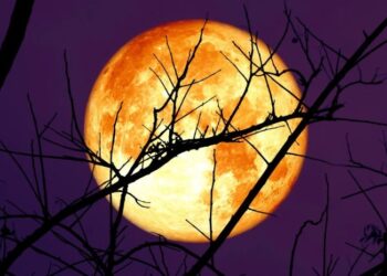 მარტის ყველაზე საფრთხილო დღეები, როცა თქვენი ქმედება მომავალს განსაზღვრავს