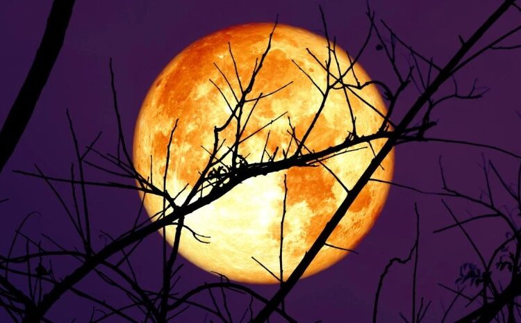 მარტის ყველაზე საფრთხილო დღეები, როცა თქვენი ქმედება მომავალს განსაზღვრავს