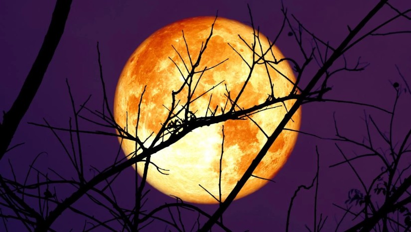 მარტის ყველაზე საფრთხილო დღეები, როცა თქვენი ქმედება მომავალს განსაზღვრავს