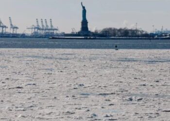 საგანგაშო ინფორმაცია ამერიკაში მცხოვრები ქართველებისათვის