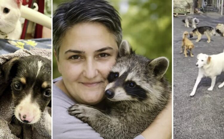 “სესხით ააშენა თავშესაფარი…უამრავ ძაღლს აპურებდა ტრასაზე…“ – ავარიაში დაღუპული ქალი ენოტი “ცაცუნას” პატრონი იყო