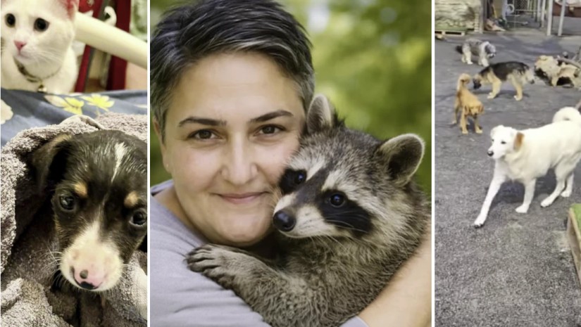 “სესხით ააშენა თავშესაფარი…უამრავ ძაღლს აპურებდა ტრასაზე…“ – ავარიაში დაღუპული ქალი ენოტი “ცაცუნას” პატრონი იყო